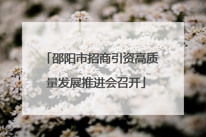 邵阳市招商引资高质量发展推进会召开