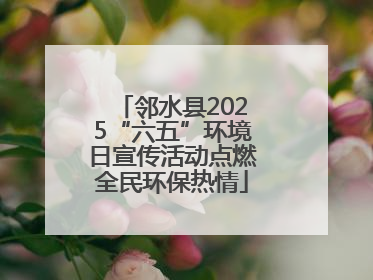 邻水县2025“六五”环境日宣传活动点燃全民环保热情