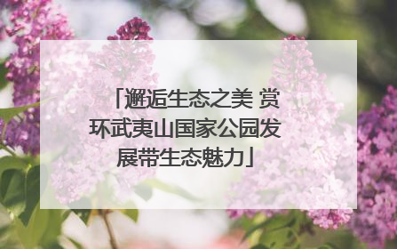 邂逅生态之美 赏环武夷山国家公园发展带生态魅力