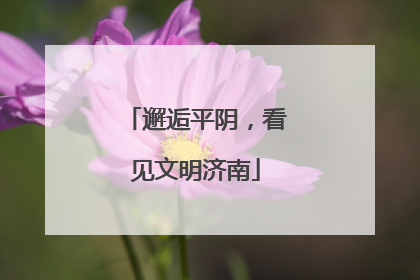 邂逅平阴，看见文明济南