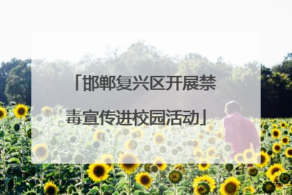 邯郸复兴区开展禁毒宣传进校园活动