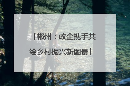 郴州：政企携手共绘乡村振兴新图景