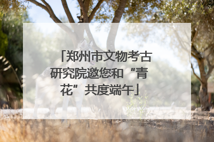 郑州市文物考古研究院邀您和“青花”共度端午