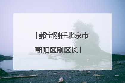 郝宝刚任北京市朝阳区副区长