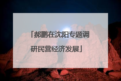 郝鹏在沈阳专题调研民营经济发展