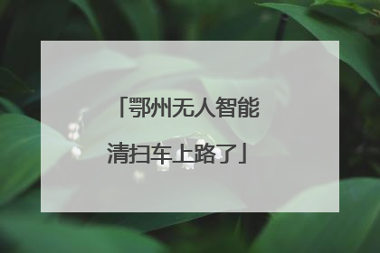 鄂州无人智能清扫车上路了