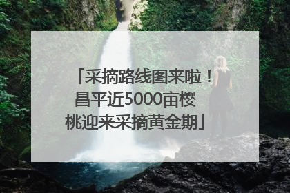 采摘路线图来啦！昌平近5000亩樱桃迎来采摘黄金期