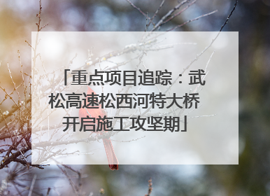重点项目追踪：武松高速松西河特大桥开启施工攻坚期