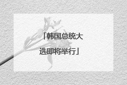 韩国总统大选即将举行