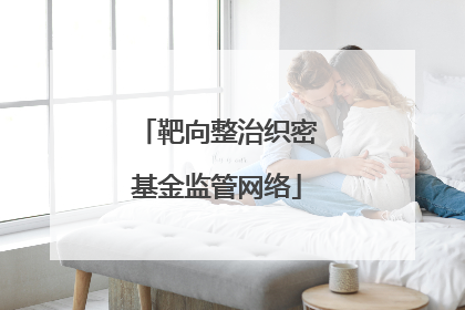 靶向整治织密基金监管网络