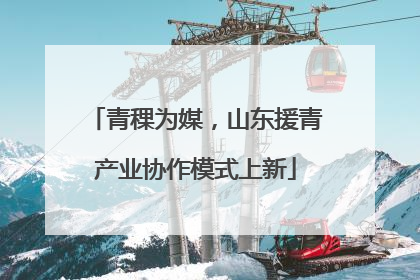 青稞为媒，山东援青产业协作模式上新