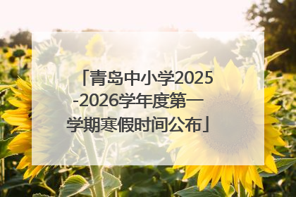 青岛中小学2025-2026学年度第一学期寒假时间公布
