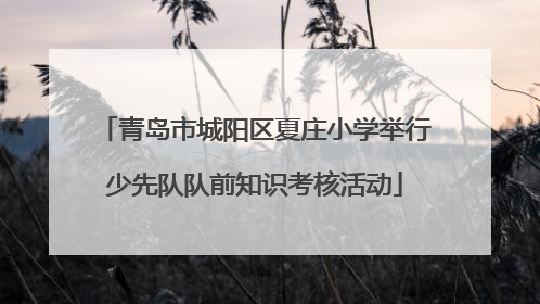 青岛市城阳区夏庄小学举行少先队队前知识考核活动