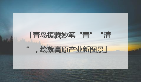 青岛援藏妙笔“青”“清”，绘就高原产业新图景