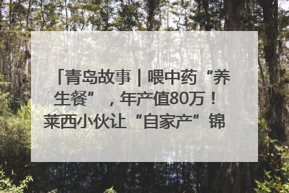 青岛故事｜喂中药“养生餐”，年产值80万！莱西小伙让“自家产”锦鲤“游”向全国