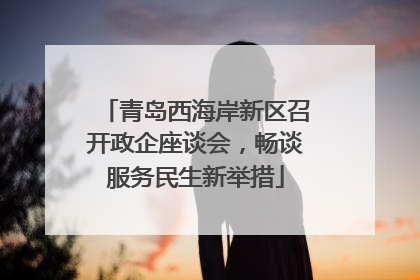 青岛西海岸新区召开政企座谈会，畅谈服务民生新举措