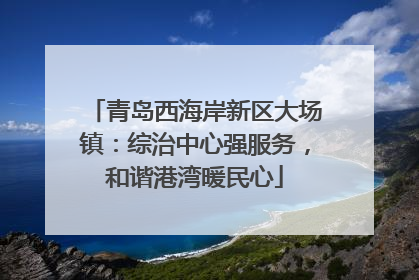 青岛西海岸新区大场镇：综治中心强服务，和谐港湾暖民心