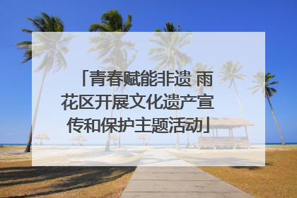 青春赋能非遗 雨花区开展文化遗产宣传和保护主题活动