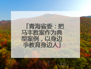 青海省委：把马丰胜案作为典型案例，以身边事教育身边人