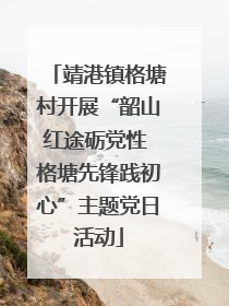 靖港镇格塘村开展“韶山红途砺党性 格塘先锋践初心”主题党日活动