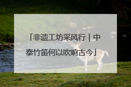 非遗工坊采风行｜中泰竹笛何以吹响古今