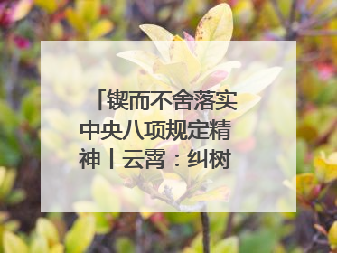 锲而不舍落实中央八项规定精神丨云霄：纠树并举扬正气 作风建设谱新章