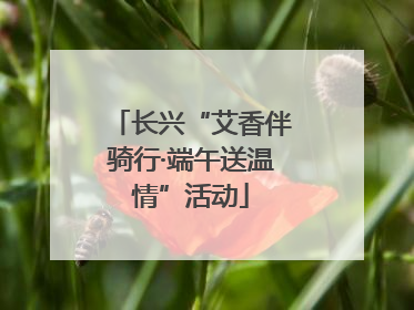 长兴“艾香伴骑行·端午送温情”活动
