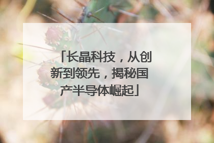 长晶科技，从创新到领先，揭秘国产半导体崛起