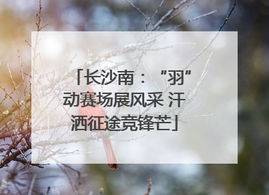 长沙南：“羽”动赛场展风采 汗洒征途竞锋芒
