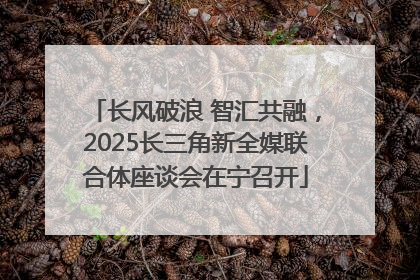 长风破浪 智汇共融，2025长三角新全媒联合体座谈会在宁召开
