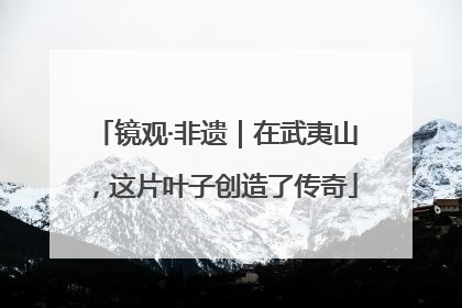 镜观·非遗｜在武夷山，这片叶子创造了传奇