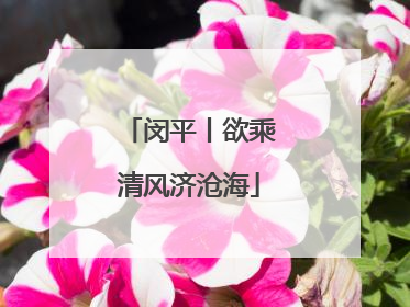闵平丨欲乘清风济沧海