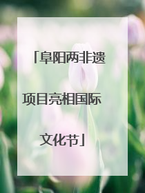 阜阳两非遗项目亮相国际文化节