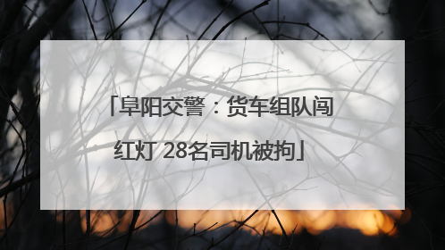 阜阳交警：货车组队闯红灯 28名司机被拘