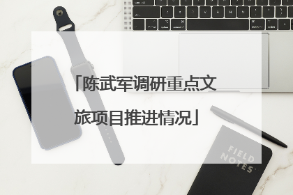 陈武军调研重点文旅项目推进情况