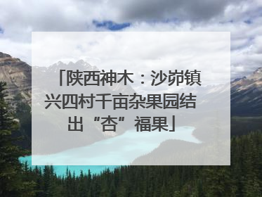 陕西神木：沙峁镇兴四村千亩杂果园结出“杏”福果