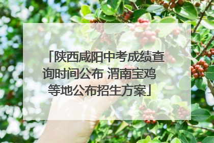 陕西咸阳中考成绩查询时间公布 渭南宝鸡等地公布招生方案