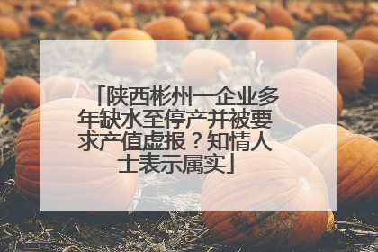 陕西彬州一企业多年缺水至停产并被要求产值虚报？知情人士表示属实
