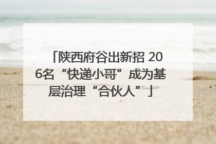 陕西府谷出新招 206名“快递小哥”成为基层治理“合伙人”