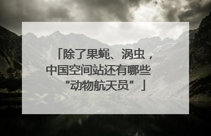 除了果蝇、涡虫，中国空间站还有哪些“动物航天员”