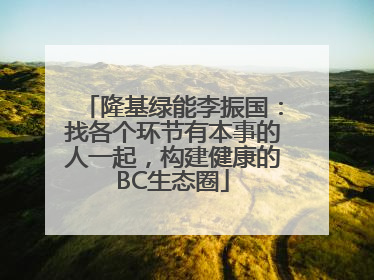 隆基绿能李振国：找各个环节有本事的人一起，构建健康的BC生态圈