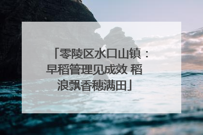 零陵区水口山镇：早稻管理见成效 稻浪飘香穗满田