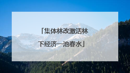 集体林改激活林下经济一池春水