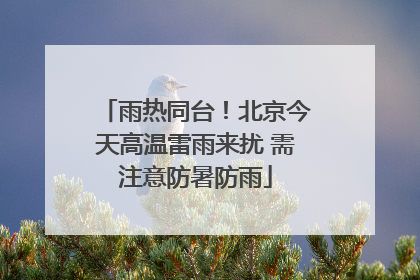 雨热同台！北京今天高温雷雨来扰 需注意防暑防雨