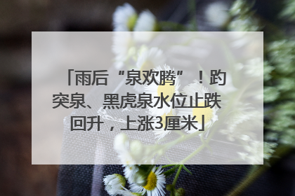 雨后“泉欢腾”！趵突泉、黑虎泉水位止跌回升，上涨3厘米