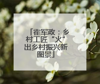 霍军政：乡村工匠“火”出乡村振兴新图景