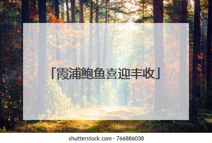 霞浦鲍鱼喜迎丰收
