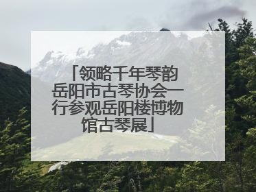 领略千年琴韵 岳阳市古琴协会一行参观岳阳楼博物馆古琴展