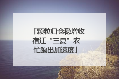 颗粒归仓稳增收 宿迁“三夏”农忙跑出加速度
