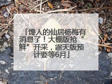 馋人的仙居杨梅有消息了！大棚版抢“鲜”开采，露天版预计要等6月